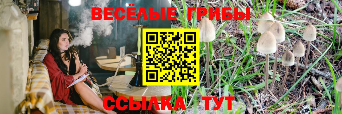 Галлюциногенные грибы Cubensis  Вход с VPN  Нефтеюганск 